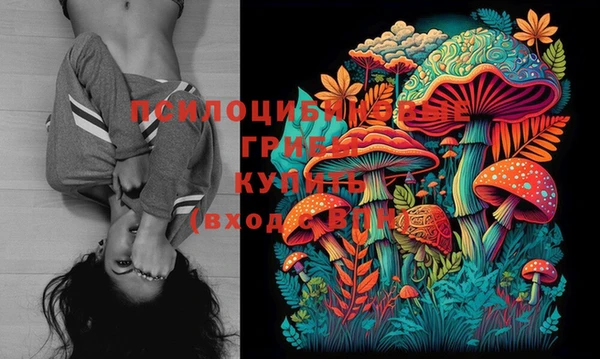 круглые Дмитровск